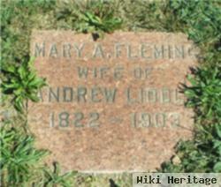 Mary A Fleming Liddle