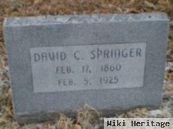 David Clarence Springer