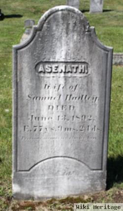 Asenath Johnson Hadley