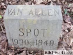 Spot Van Allen