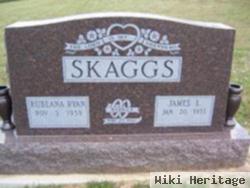 Jamie L. Skaggs