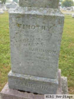 Timothy Harrison