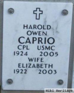 Harold Owen Caprio