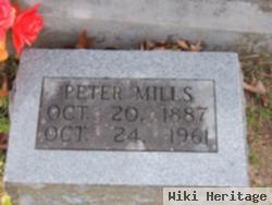 Peter Mills