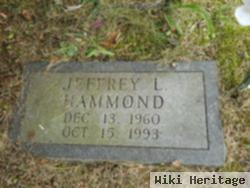 Jeffrey L Hammond