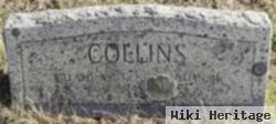 Lillian M Collins