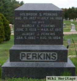 Holbrook Sylvanus Perkins