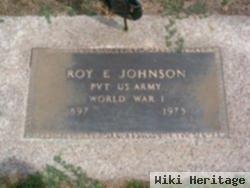 Roy E. Johnson