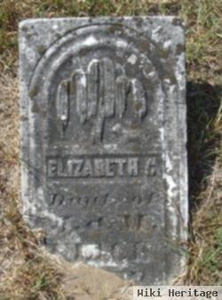 Elizabeth C Flick