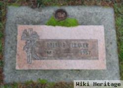 Delia Rebecca Wood Cleaver