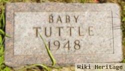 Baby Tuttle