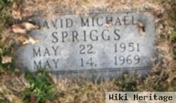 David Michael Spriggs