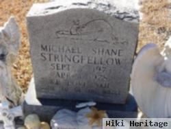 Michael Shane Stringfellow