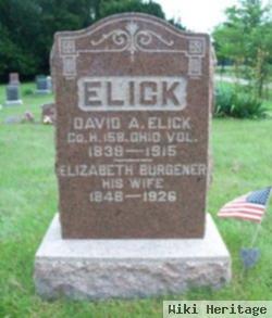 David A Elick