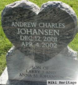 Andrew Charles Johansen