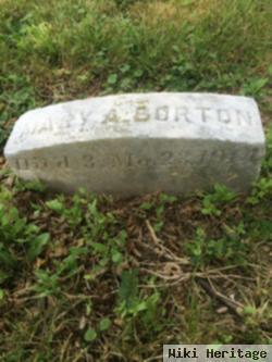 Mary A. Sailor Borton