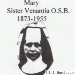 Sr Venantia Mary Stein