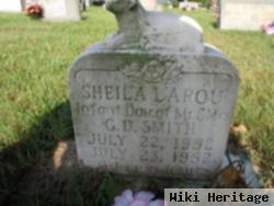 Sheila Larou Smith