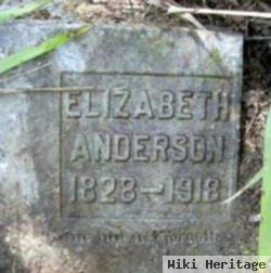 Elizabeth Anderson