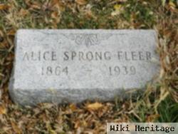 Mary Alice Sprong Fleer