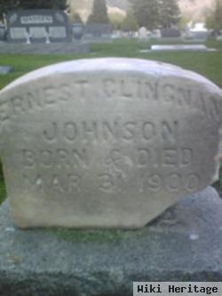 Ernest Clingnan Johnson