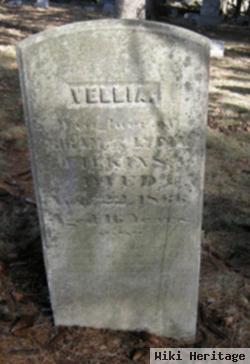 Vellia Filkins