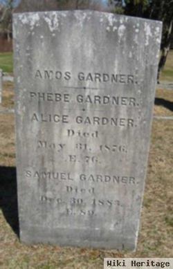 Samuel Gardner