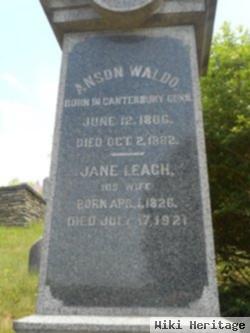 Jane Leach Waldo