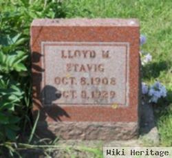 Lloyd M Stavig