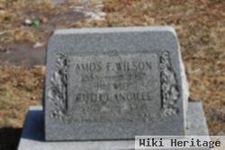 Amos F Wilson