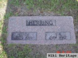 Thomas A Herring