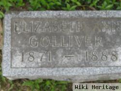 Elizabeth Ann Golliver