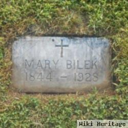 Mary Bilek