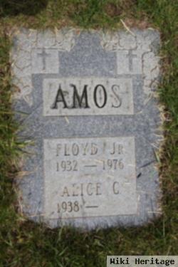 Floyd Amos, Jr