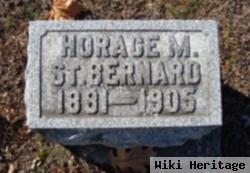 Horace Mitchell St. Bernard