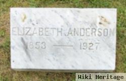 Elizabeth Wright Anderson