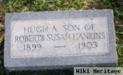 Hugh A Hankins