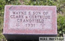 Wayne E Grandfield