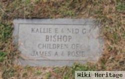 Kallie E. Bishop