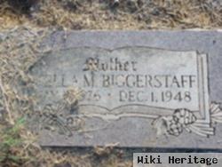 Stella M. Hale Biggerstaff