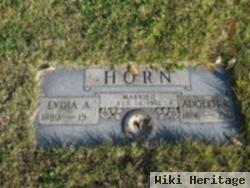 Adolph P Horn