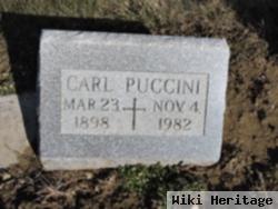 Carl Robert Puccini