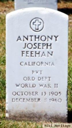 Anthony Joseph Feehan