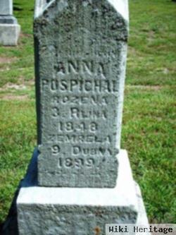 Anna Pospichal