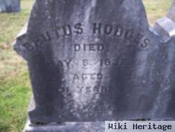 Brutus Hodges