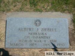 Albert J Ziebell