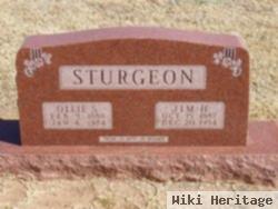 Jim H. Sturgeon