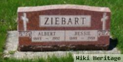 Albert Ziebart