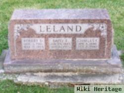 Robert D Leland