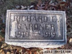 Richard E. Gardner